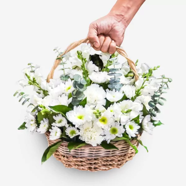 Basket of Chances - Standard