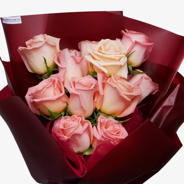 Heartfelt Blush (12 Ecuadorian Roses) - Standard