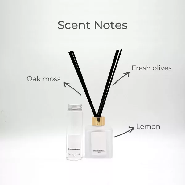 Evergreen Shrub Reed Diffuser - default