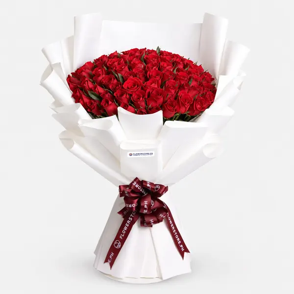 Luxurious bouquet of 100 red roses wrapped in white paper with burgundy ribbon bow