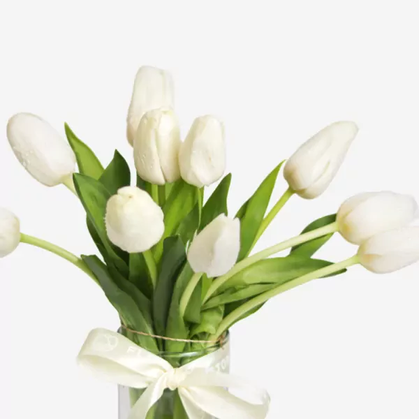 White tulips bouquet with green stems in clear vase with white ribbon