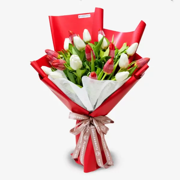 Red Tulip Dreams - Standard