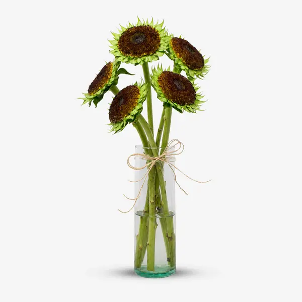 De-Petaled Sunflower Bunch