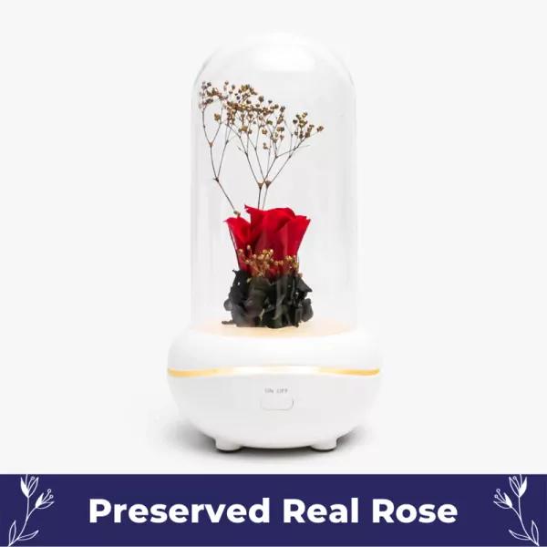 White ultrasonic diffuser with preserved red rose and dried baby's breath flowers