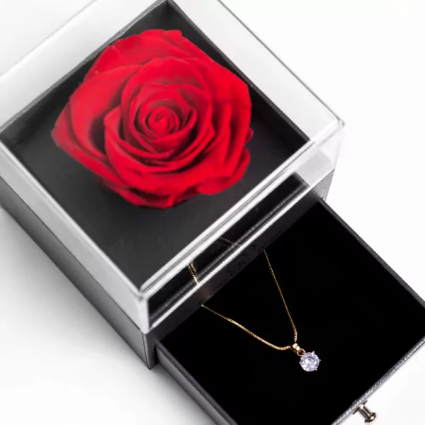 Preserved Rose in a Box with Necklace - Gifts for Your Loved One. Special  Gifts for Mom, Wife, Girlfriend, Sister - Great Gift Ideas for Christmas,  Valentine's Day, Anniversary, Mother's Day and