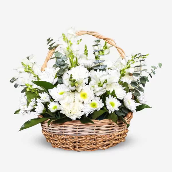 Basket of Chances - Standard