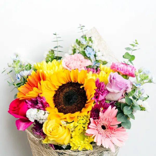Color Crush 2