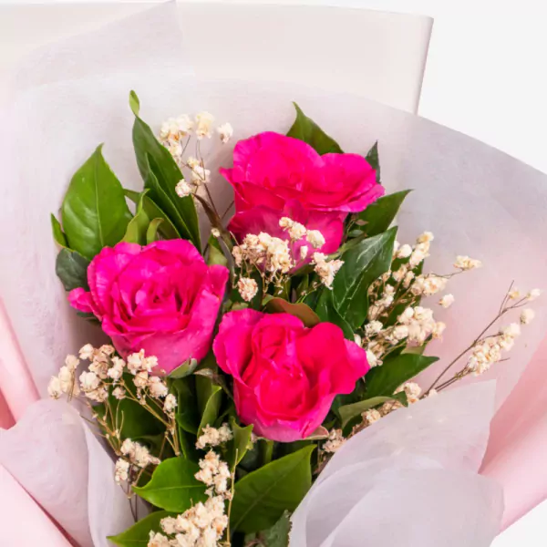 Three vibrant pink roses with baby's breath and green foliage in pink tissue wrapping