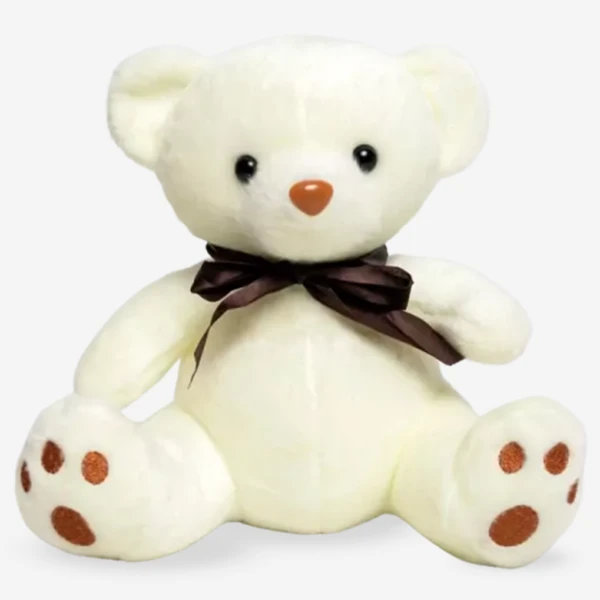 White Teddy Bear