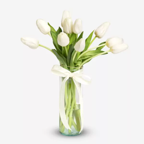 White tulips in clear vase with green stems and white ribbon bow