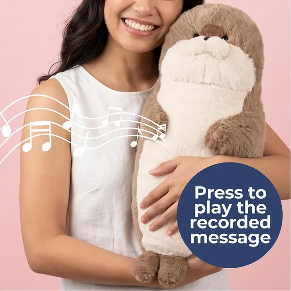 Seal Plush with Voice Recorder 1