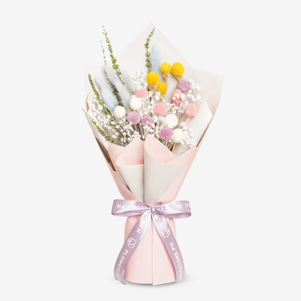 Fairy Meadow - Standard