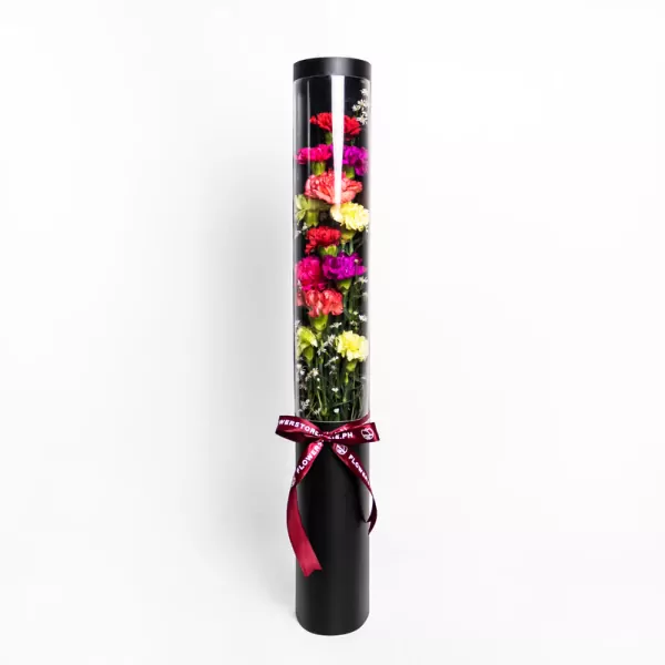 Rainbow Drops - Standard