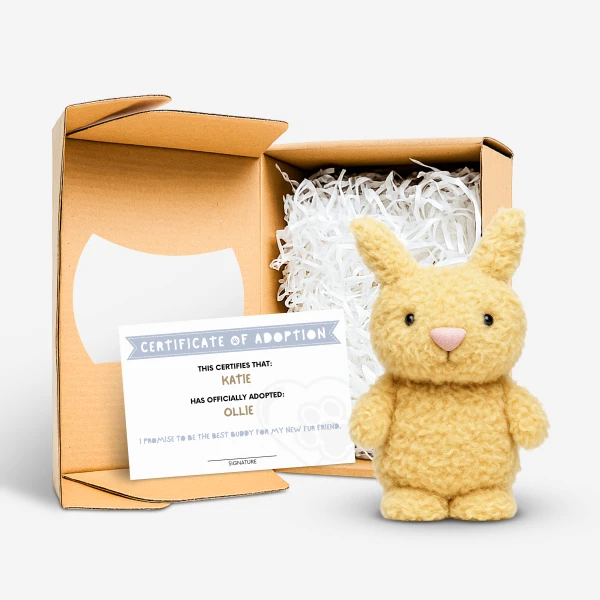Adopt-A-Pet Gift Box - Rabbit