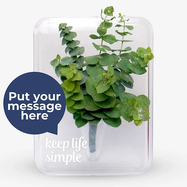 Eucalyptus Plant Acrylic Vase