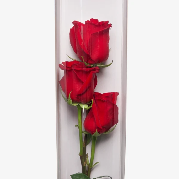 Love That Lasts (3 Ecuadorian Roses) - Standard