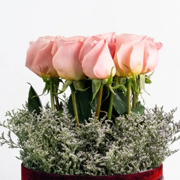 Opulent Bloom (12 Ecuadorian Roses) - Standard