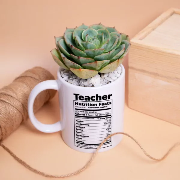 Teacher's Nutrition Facts Mug - With Succulent