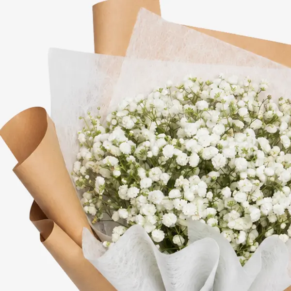 Baby's Breath 2