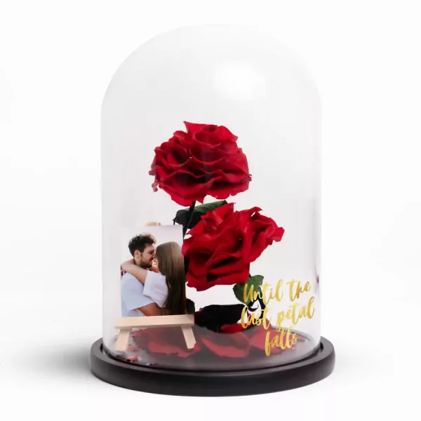 Rose of Timeless Love - Standard