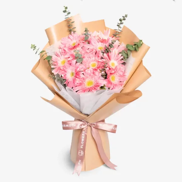 Sugar Blossom - Standard
