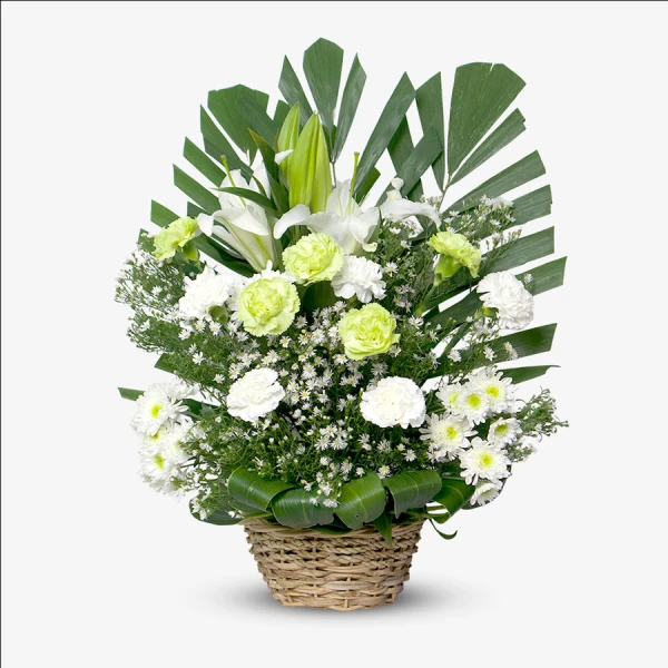 Harmony of Heaven - 1pc