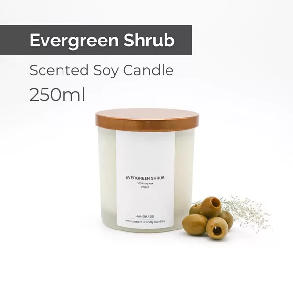 Evergreen Shrub Scented Soy Candle - 250ml
