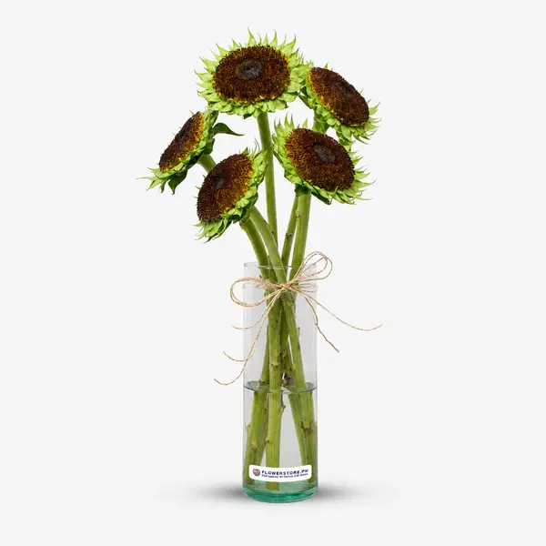 De-Petaled Sunflower Bunch