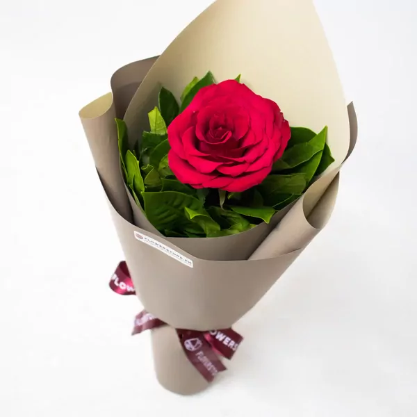 Single red rose with green foliage wrapped in cream paper with burgundy ribbon bow