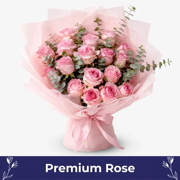 Blushing Pink Rose
