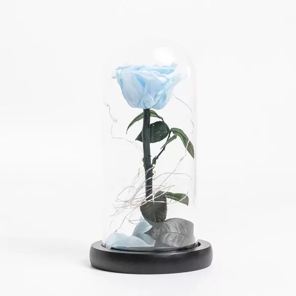 Frozen In Time - Default