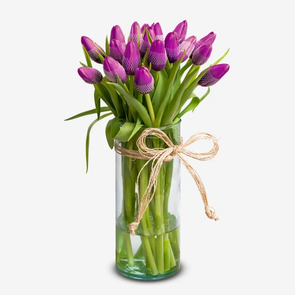Violet Tulips (20 Stems) - Standard