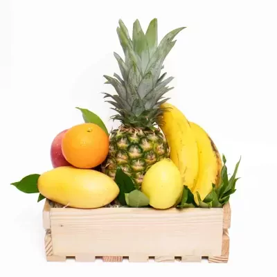 Fruitopia Feast - default