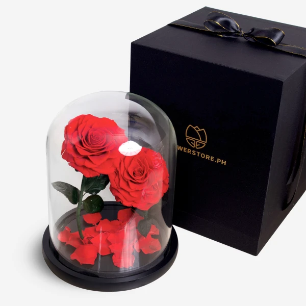Giant Timeless Rose - Standard