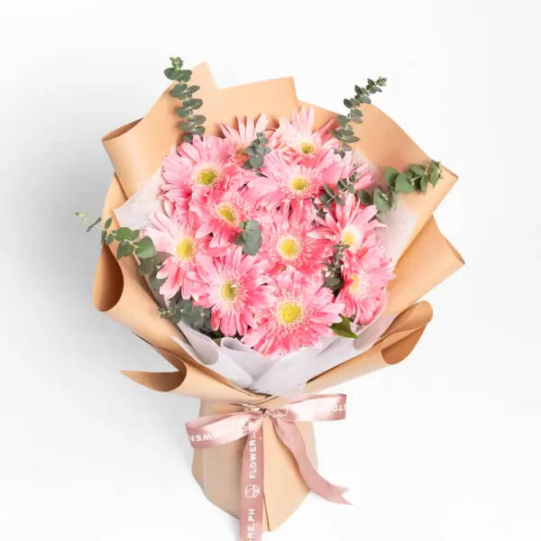 Sugar Blossom - Standard