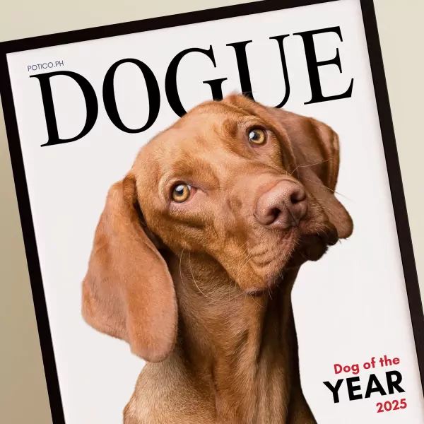 Dogue Frame - Standard