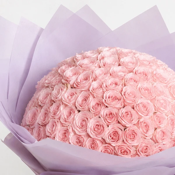Blooming Blush (100 Pink Roses)