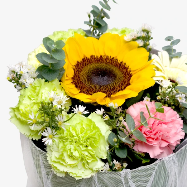 Sunlight Blooms
