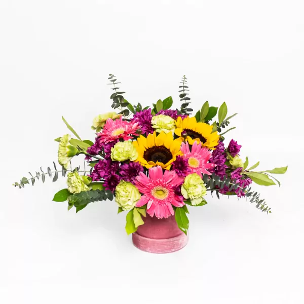Candy Blossom Bliss - Standard
