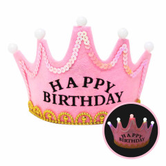 Birthday Crown.jpeg