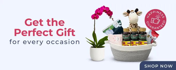 Regular - Perfect Gift