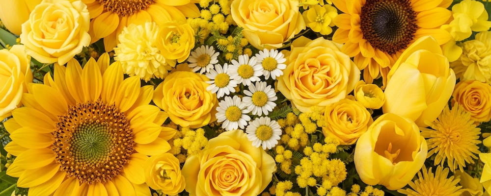 A Splash of Sunshine: Discovering the Joyful World of Yellow Flowers