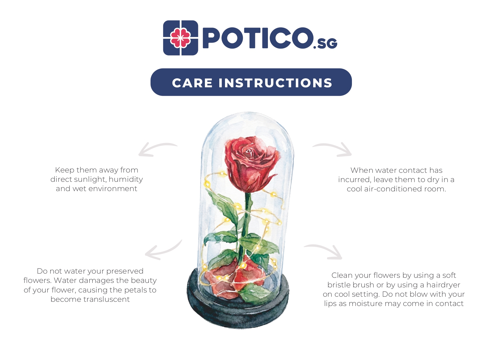 Flower Care Instructions Infographic