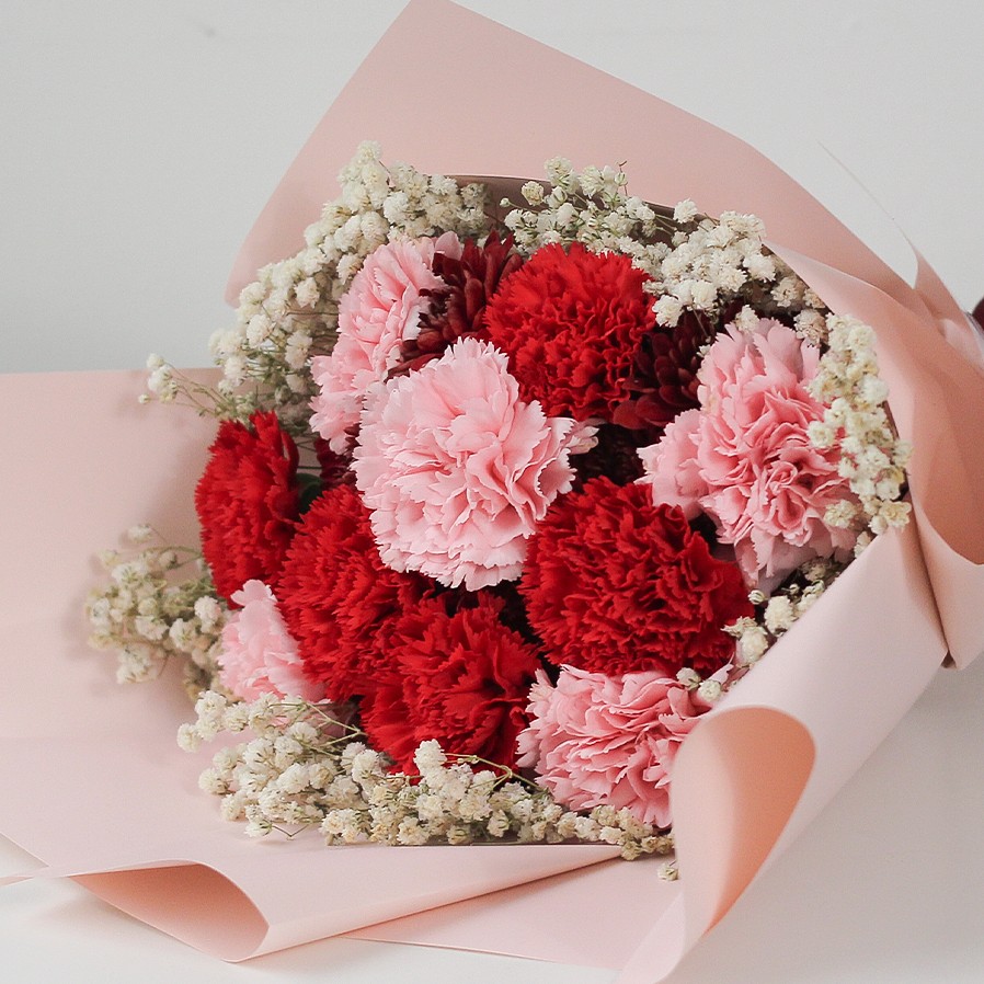 A vibrant bouquet featuring a mix of deep red and soft pink carnations, accented by delicate clusters of white baby's breath. The arrangement is wrapped in layered, matte light pink paper that curves gracefully around the flowers, creating a soft and romantic aesthetic against a plain white background.