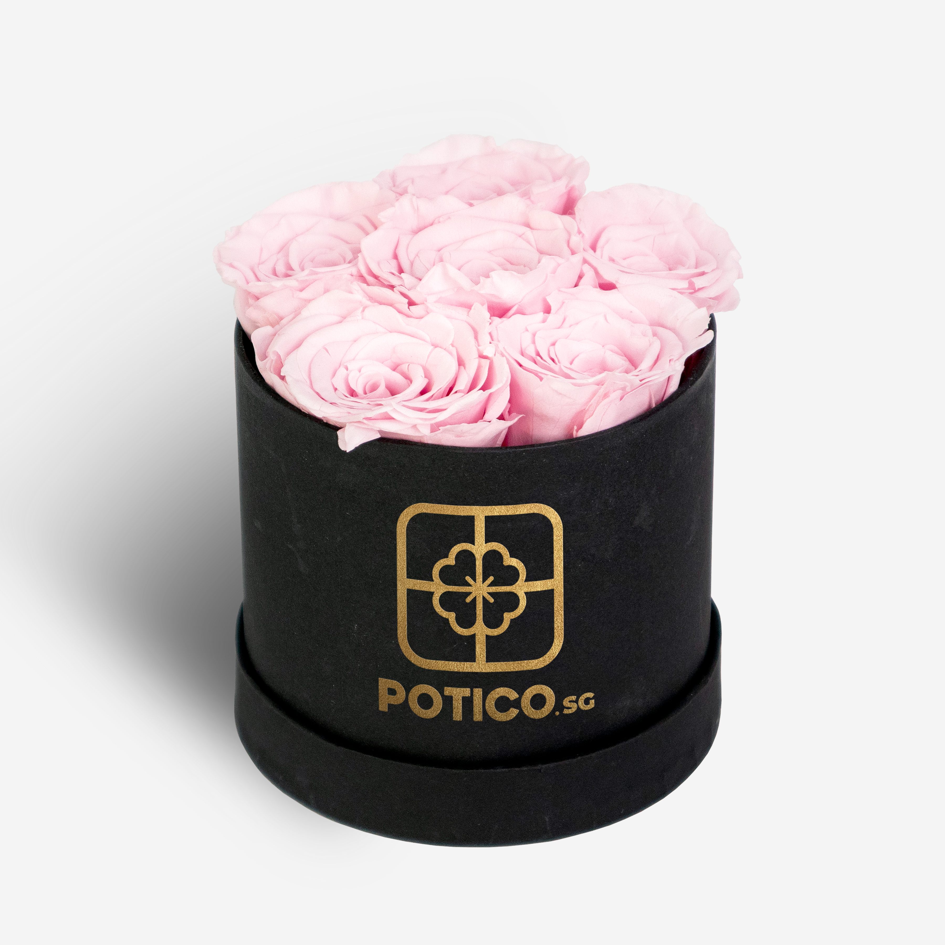 Eternal Blush Bloom Box