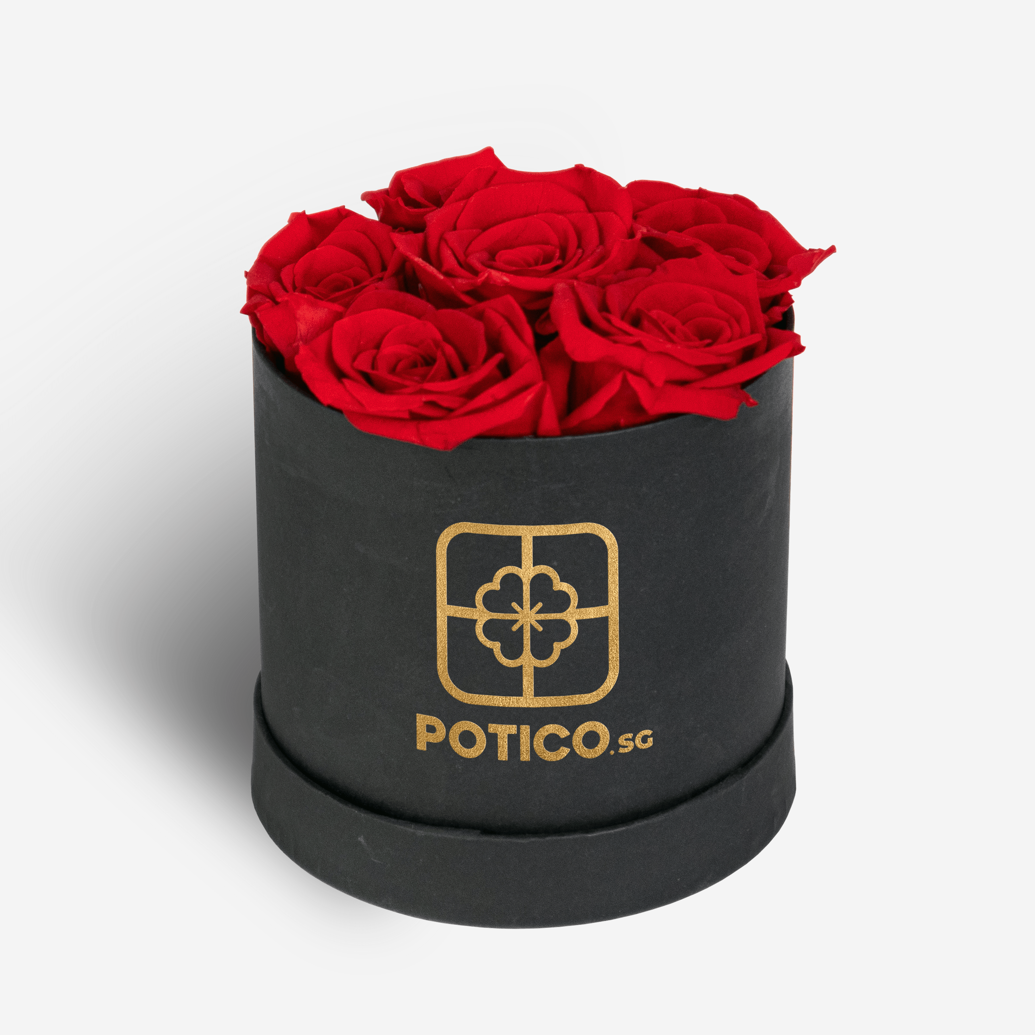 Midnight Ruby Bloom Box contains 6 preserved red roses in a small black cylinder box.