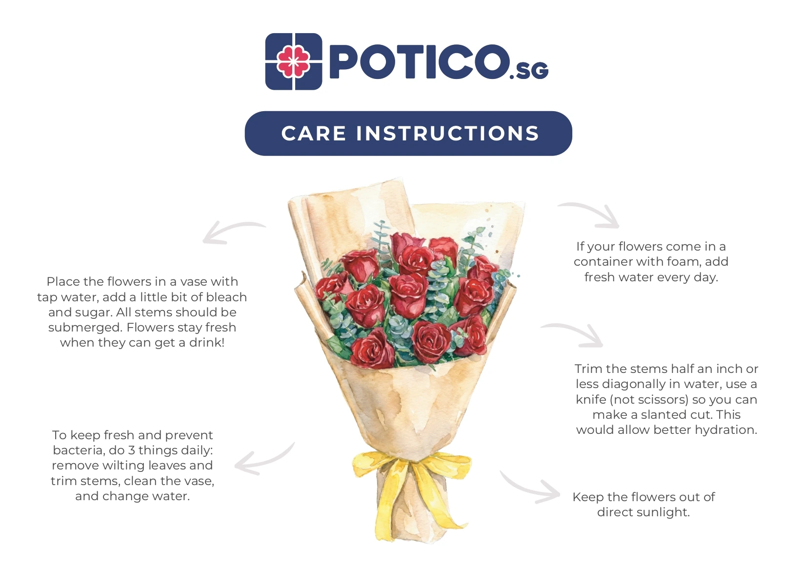 Flower Care Instructions Infographic