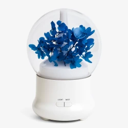 Petal Mist Diffuser