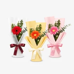 Bloom Trio
