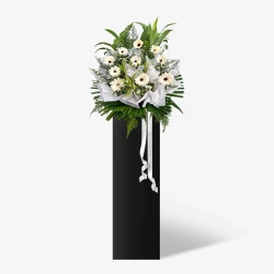 Whispering Blooms
